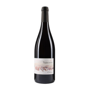 Daniel Chotart Pinot noir